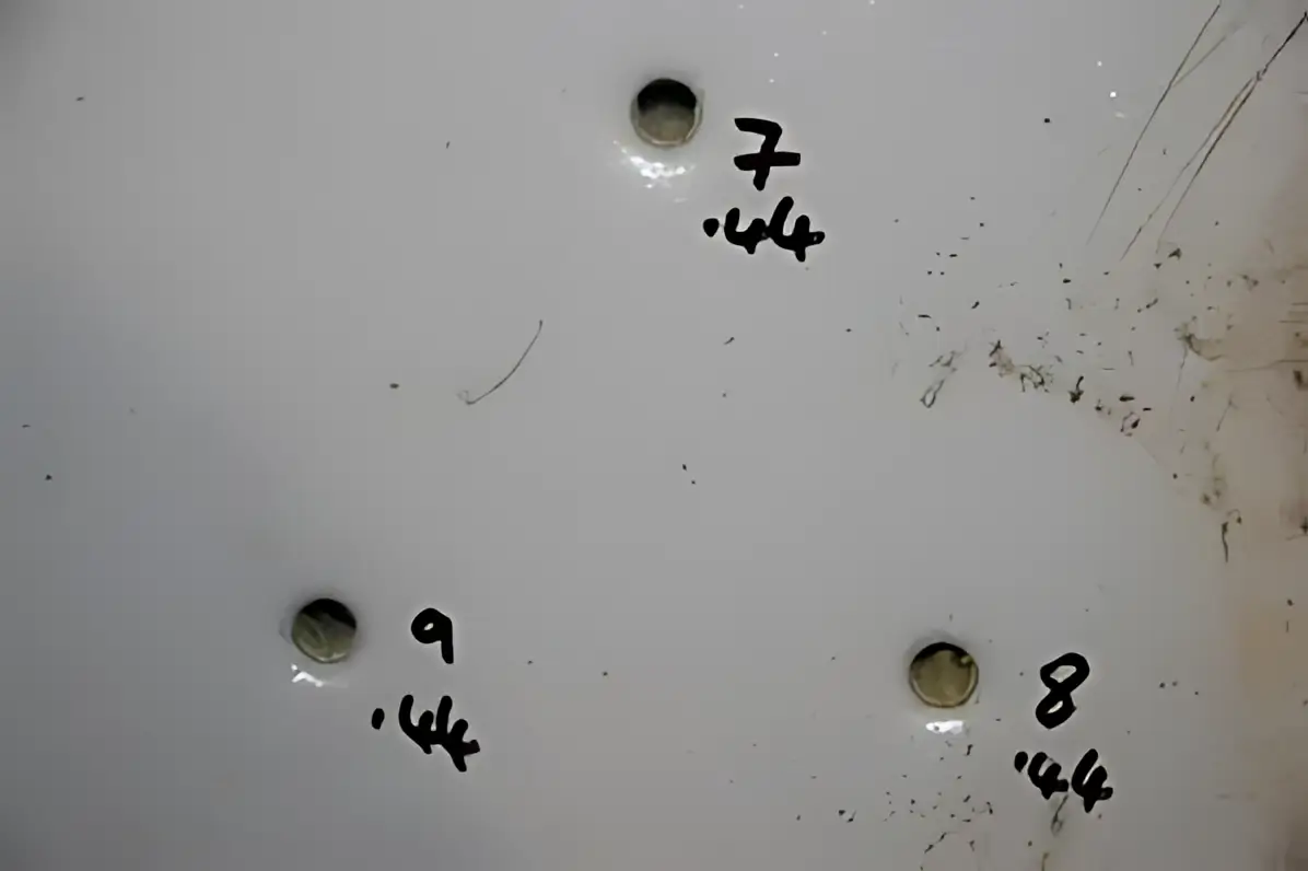 Ballistic Door Image 3