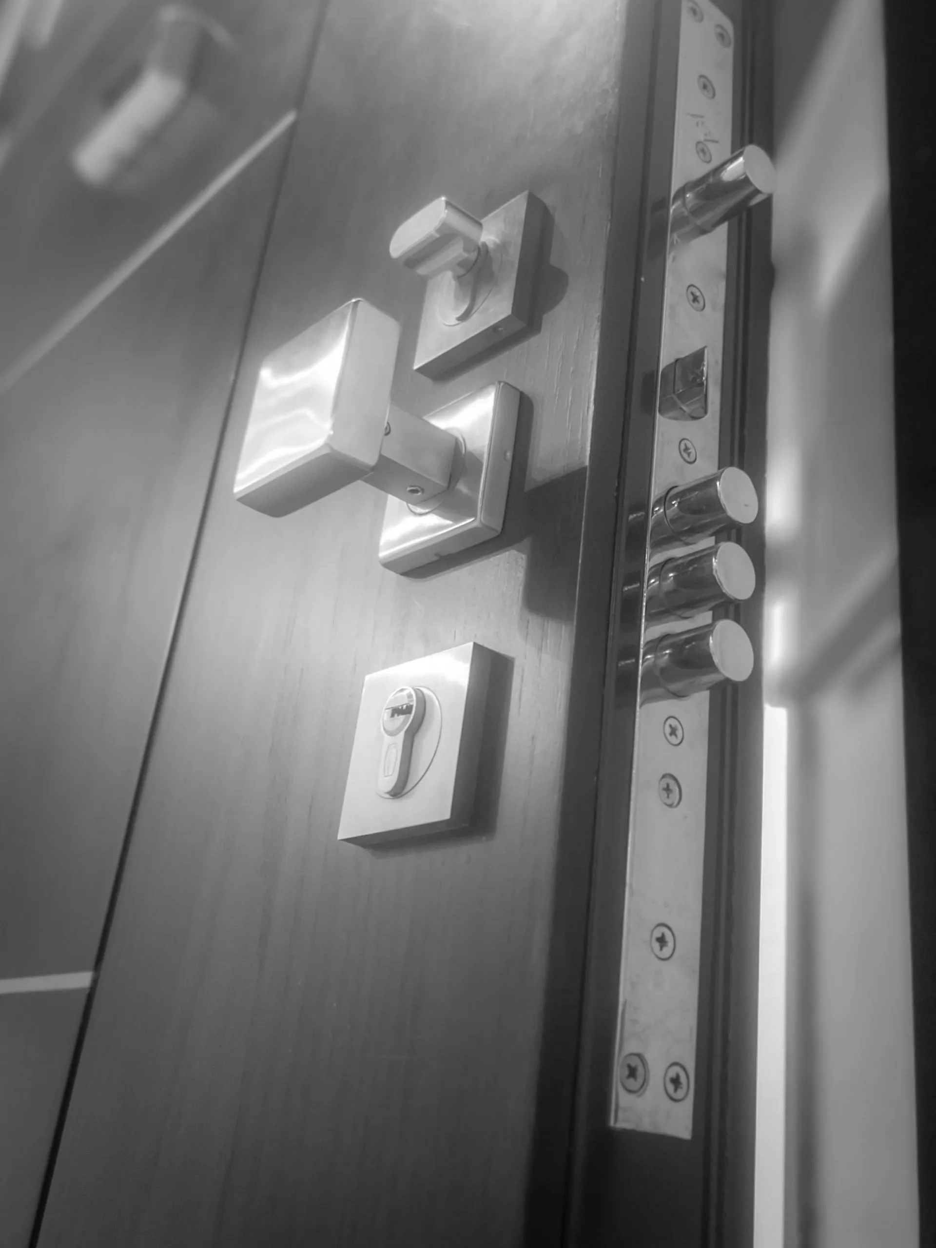 Security Door - Fitzpatrick Metal Doors Product